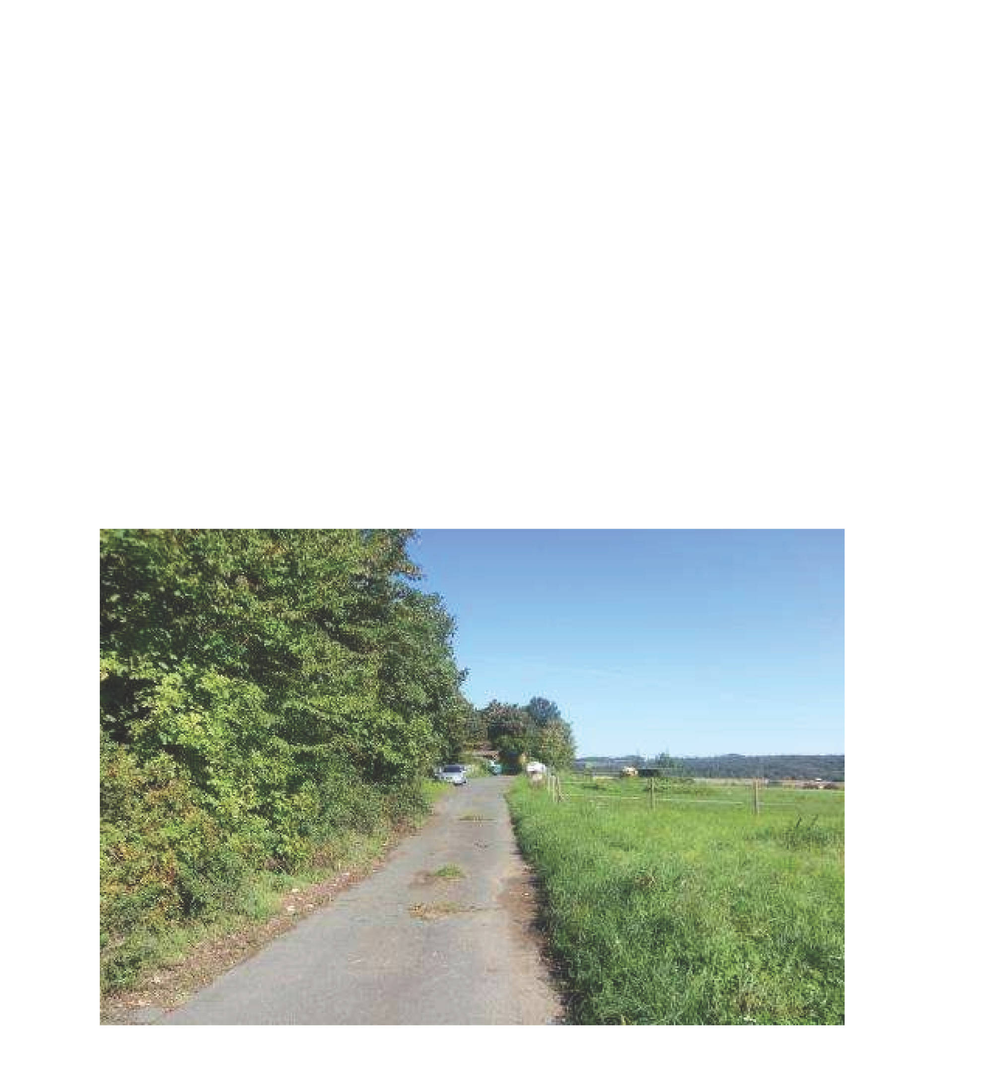 rheinland-pfalz 6 K 4/23 Tannenhof 1, 56355 Kehlbach 6