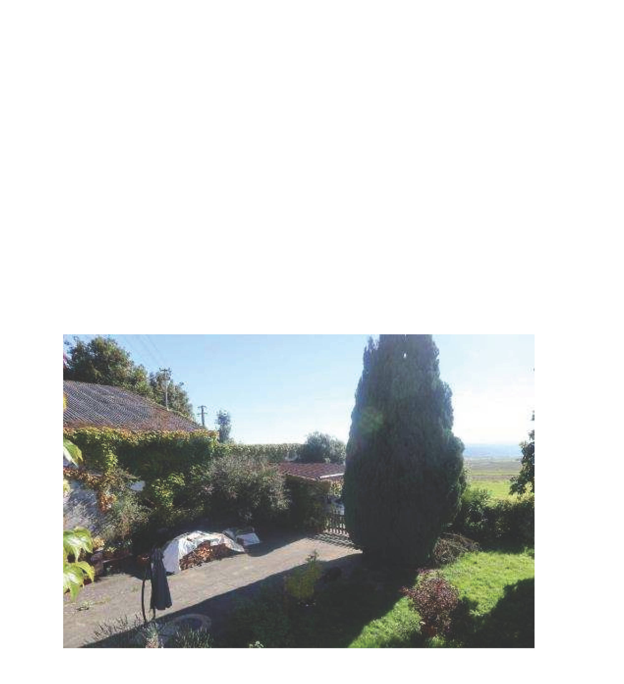 rheinland-pfalz 6 K 4/23 Tannenhof 1, 56355 Kehlbach 13