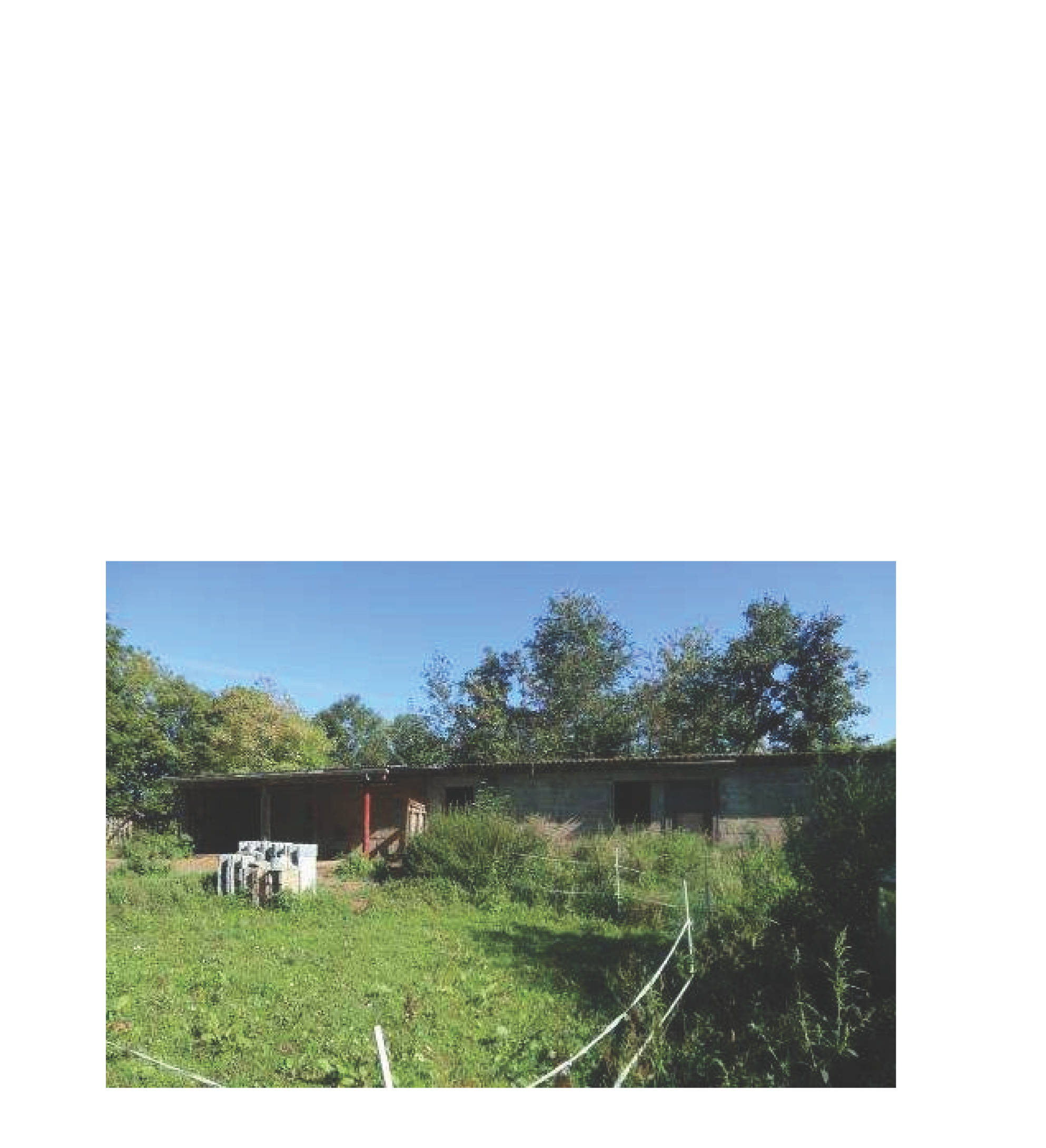 Landwirtschaftliches Objekt in Tannenhof 1, 56355 Kehlbach - Bild 3