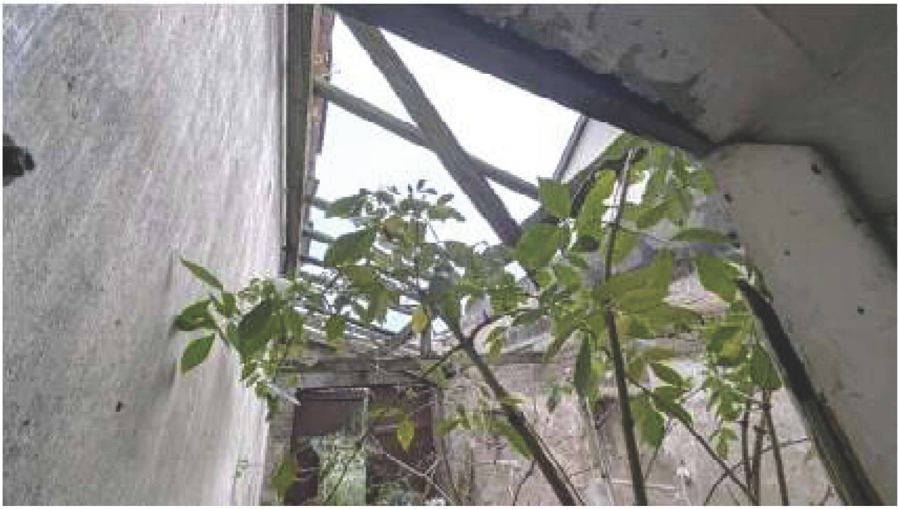 rheinland-pfalz 6 K 5/24 Flammersfelder Straße 9, 53567 Asbach 17