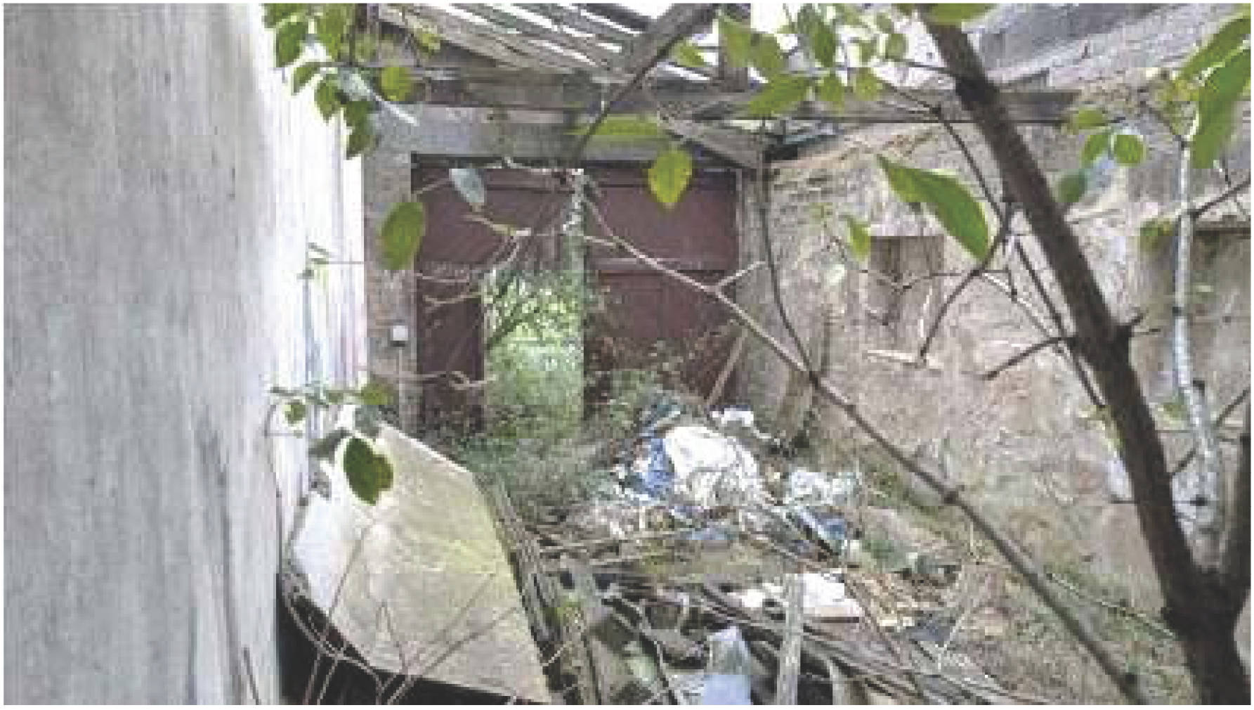 rheinland-pfalz 6 K 5/24 Flammersfelder Straße 9, 53567 Asbach 18