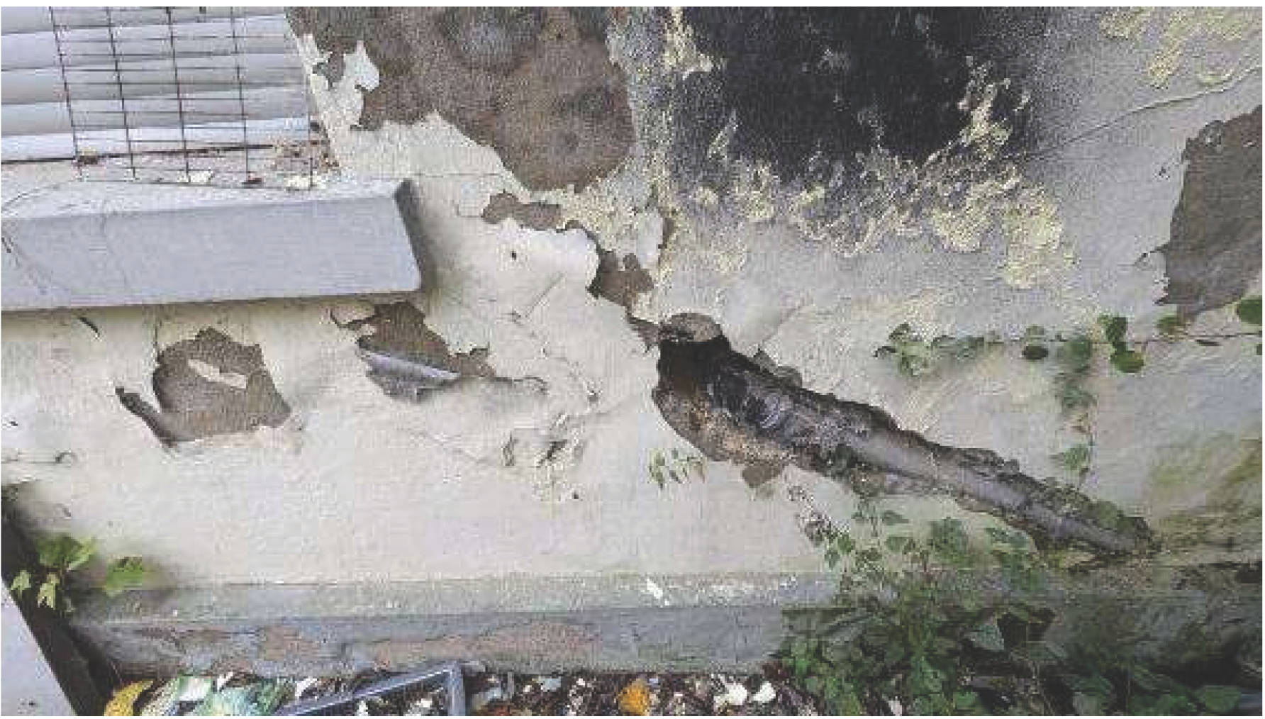 rheinland-pfalz 6 K 5/24 Flammersfelder Straße 9, 53567 Asbach 19