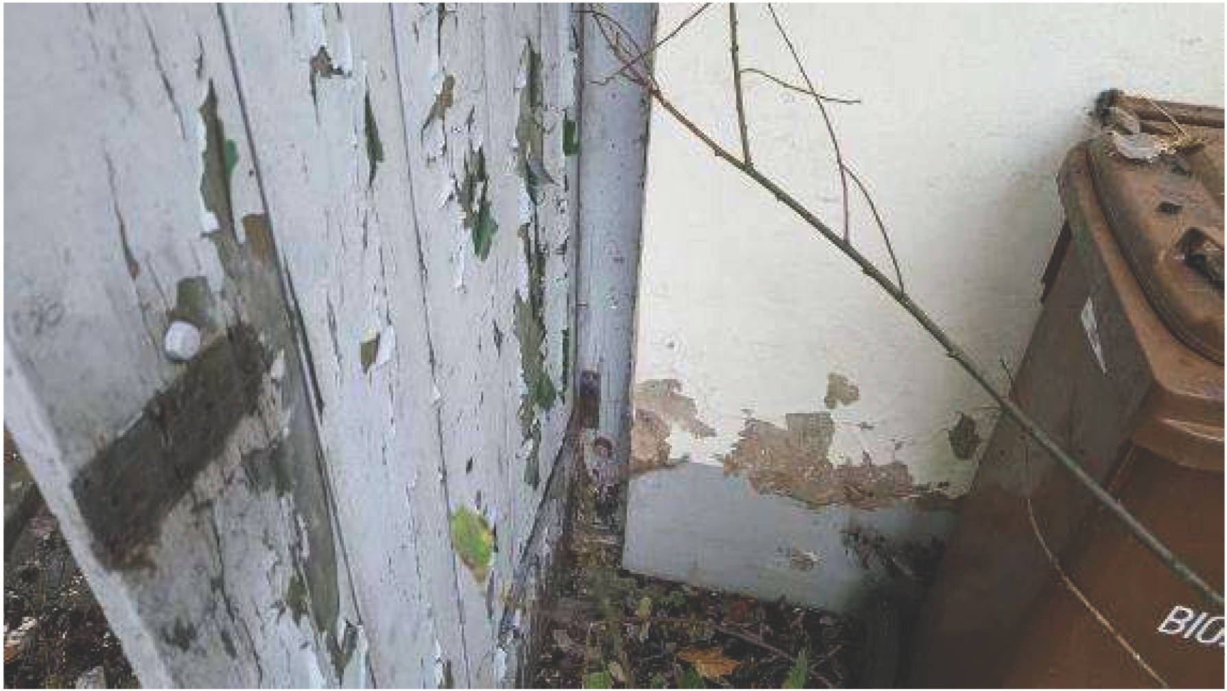 rheinland-pfalz 6 K 5/24 Flammersfelder Straße 9, 53567 Asbach 14