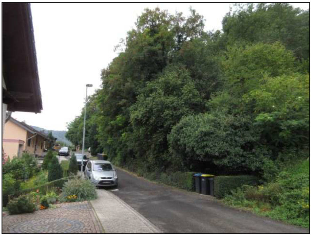 rheinland-pfalz K 0007/2025 Waldfläche, 00000 Lehmen 11