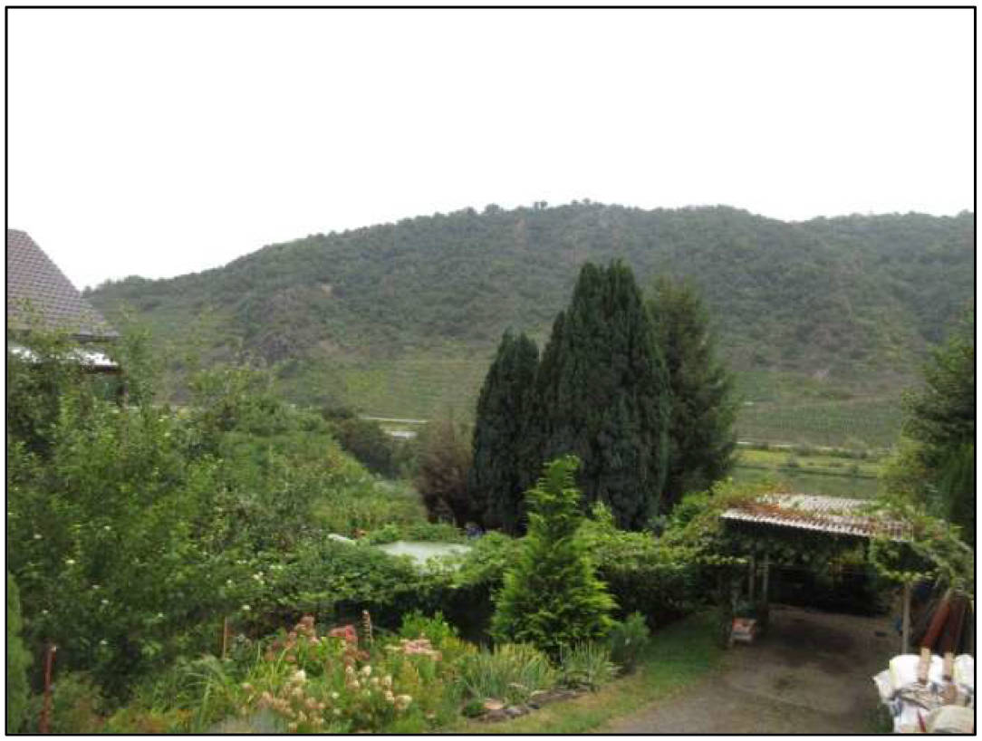 rheinland-pfalz K 0007/2025 Waldfläche, 00000 Lehmen 9