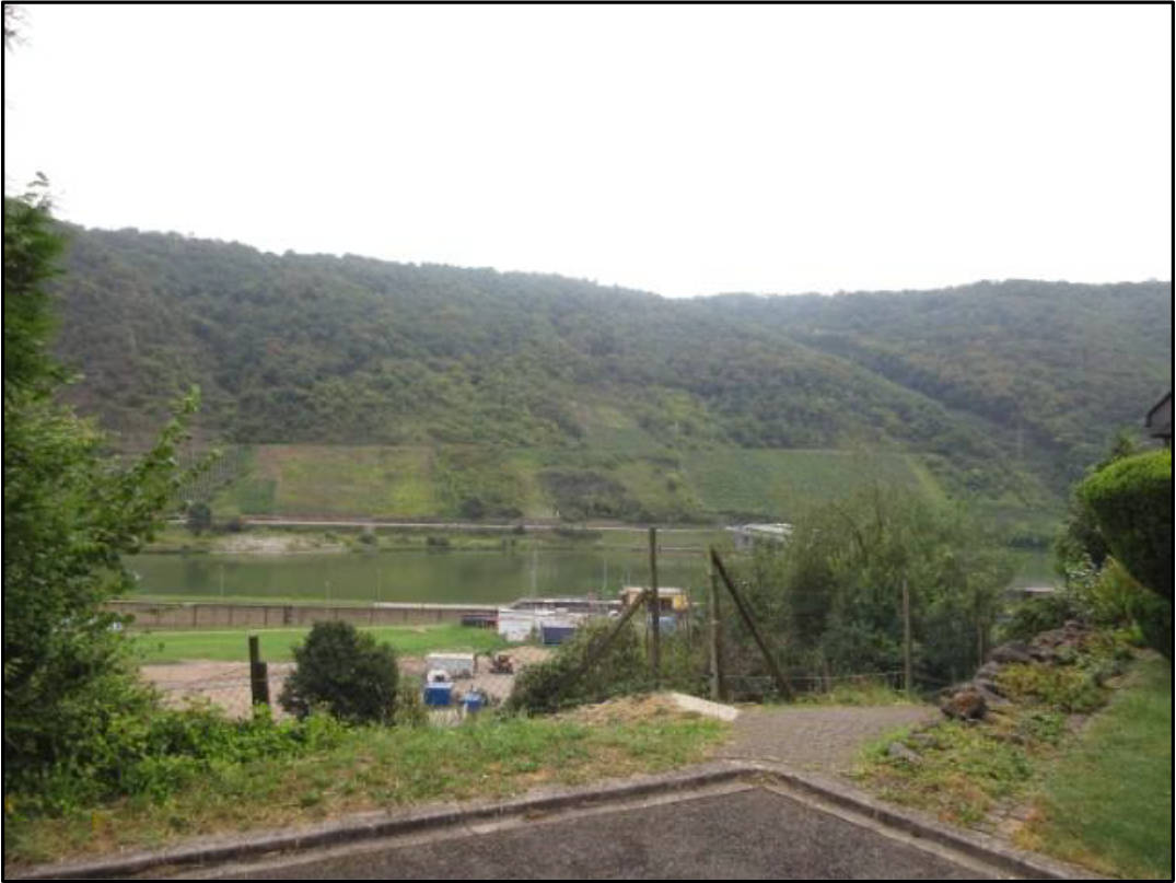 rheinland-pfalz K 0007/2025 Waldfläche, 00000 Lehmen 8