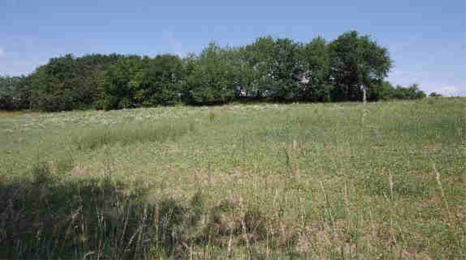 rheinland-pfalz K 0012/2023 Im oberen Bornwäldchen, 56283 Nörtershausen 9
