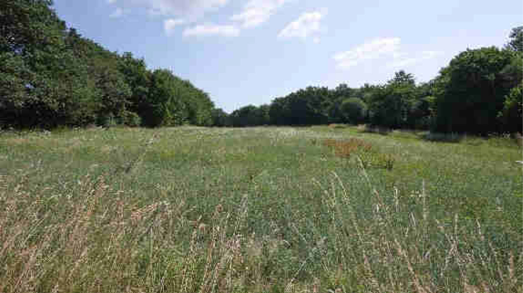 rheinland-pfalz K 0012/2023 Im oberen Bornwäldchen, 56283 Nörtershausen 7