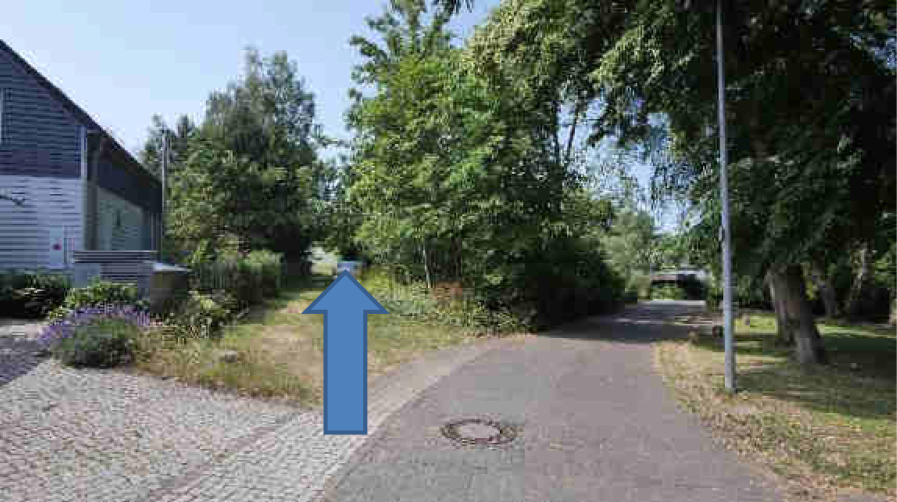 land- und forstwirtschaftlich genutztes Grundstück in Im oberen Bornwäldchen, 56283 Nörtershausen - Bild 2