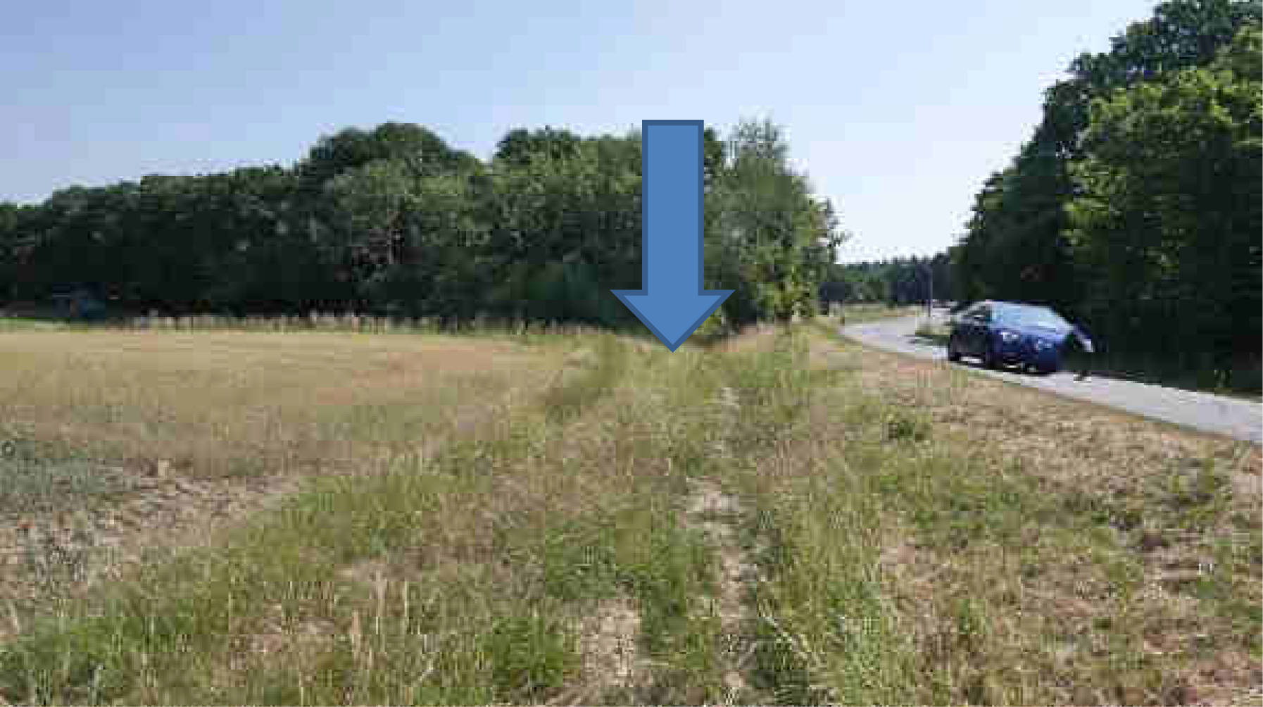 rheinland-pfalz K 0012/2023 Im oberen Bornwäldchen, 56283 Nörtershausen 6