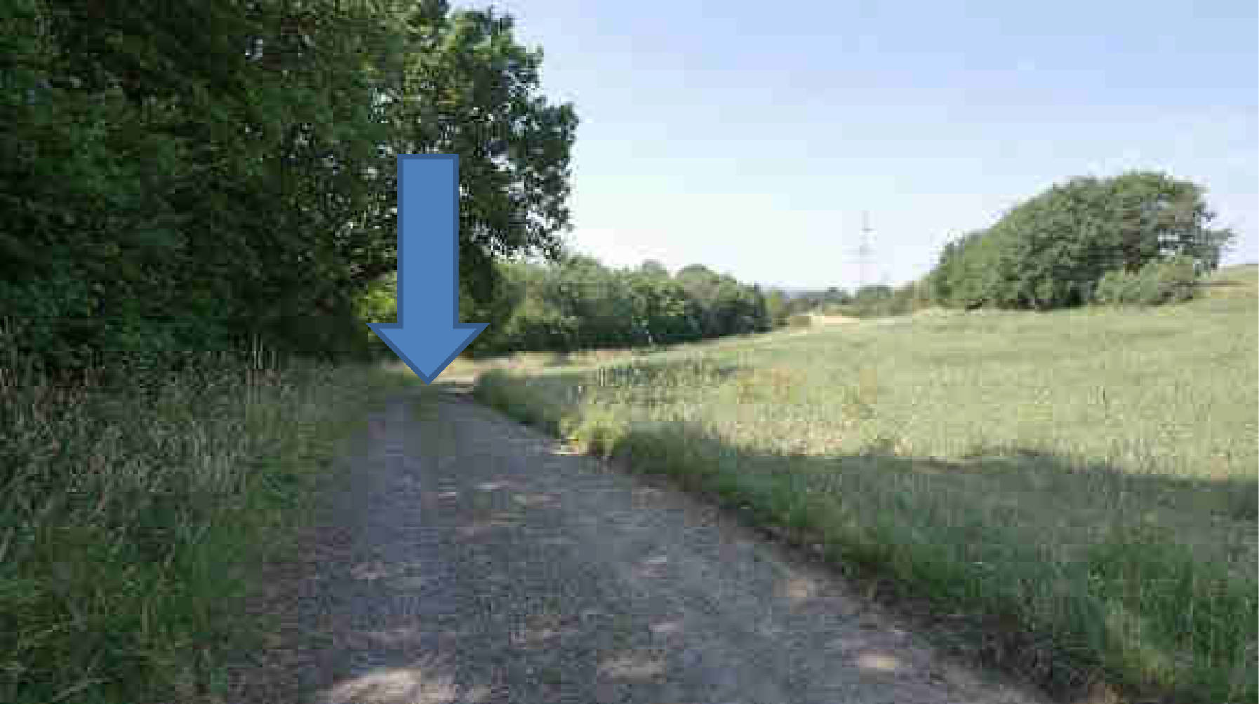 land- und forstwirtschaftlich genutztes Grundstück in Im oberen Bornwäldchen, 56283 Nörtershausen - Bild 4