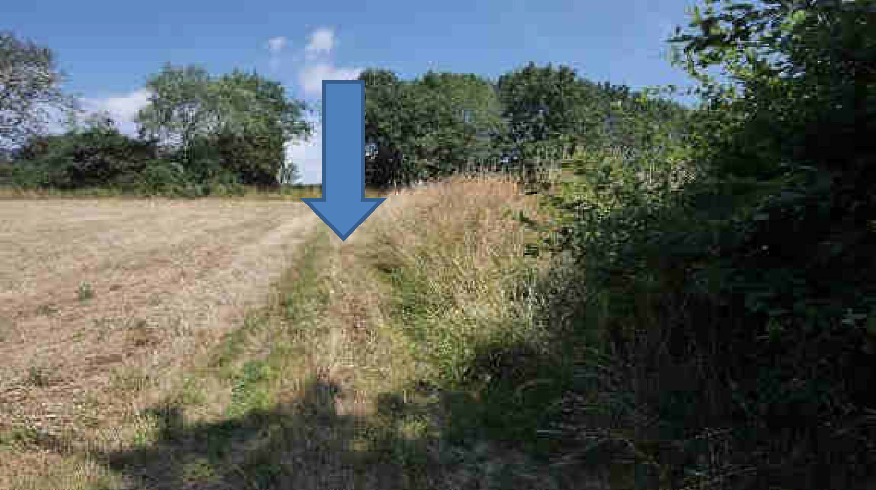 rheinland-pfalz K 0012/2023 Im oberen Bornwäldchen, 56283 Nörtershausen 10
