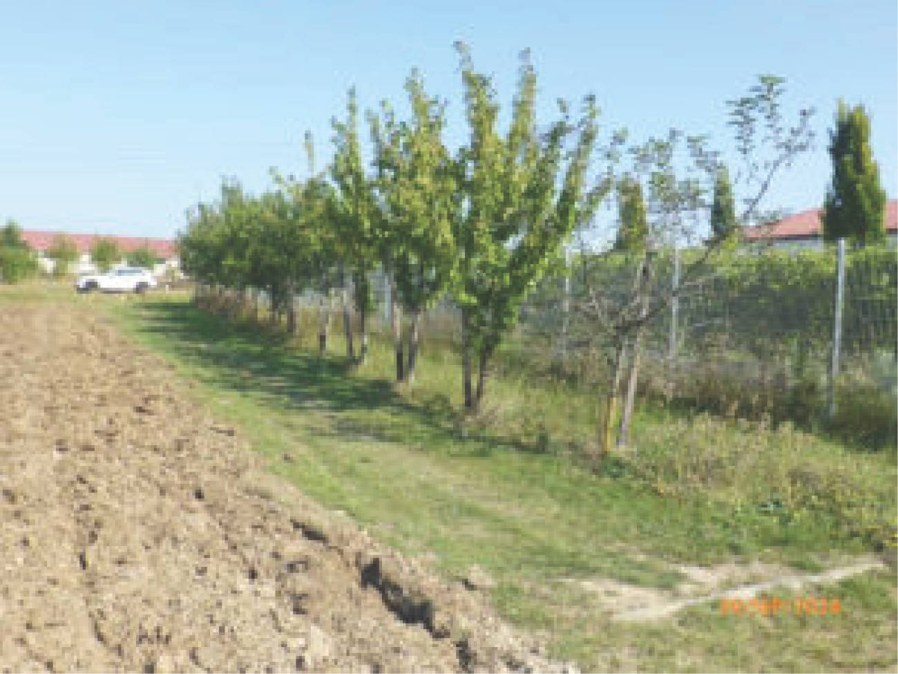 rheinland-pfalz K0015-2024 Am Steinern Kreuz, 55286 Wörrstadt