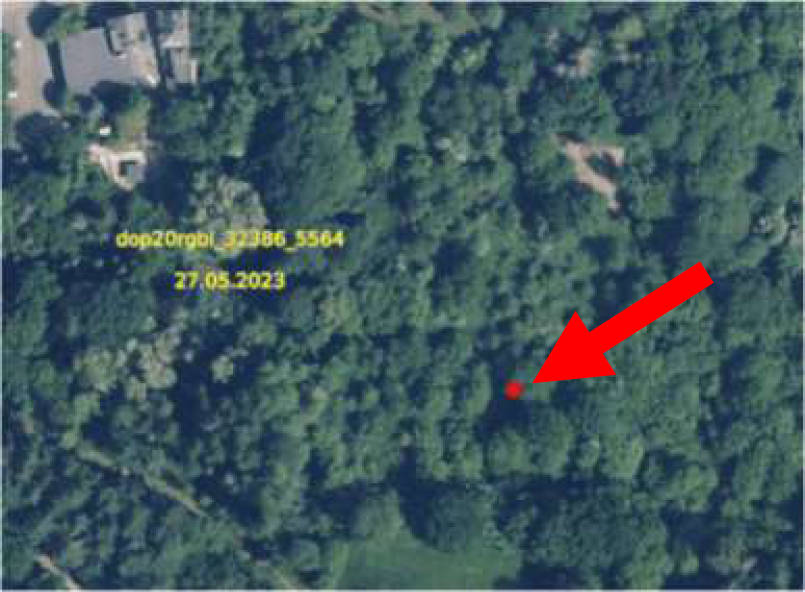 rheinland-pfalz K0017/2023 Waldflächen, 56332 Brodenbach 9