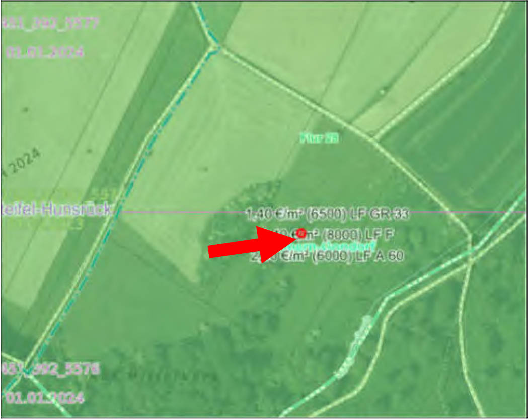 rheinland-pfalz K 0017/2024 diverse, 56330 Kobern-Gondorf 30