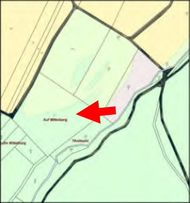 land- und forstwirtschaftlich genutztes Grundstück in diverse, 56330 Kobern-Gondorf - Bild 5