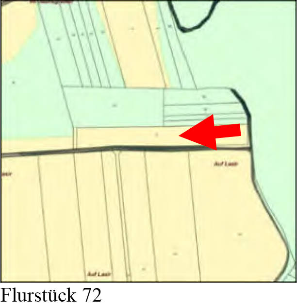 land- und forstwirtschaftlich genutztes Grundstück in diverse, 56330 Kobern-Gondorf - Bild 3