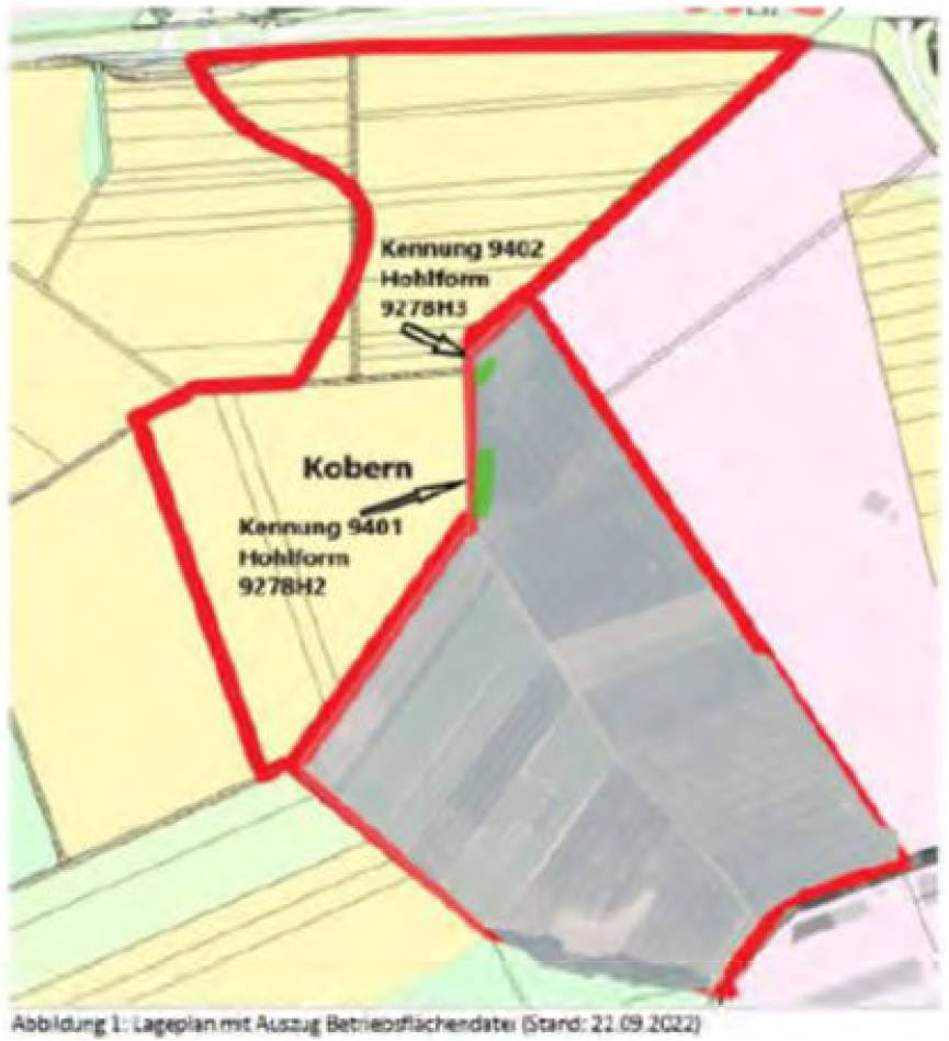 rheinland-pfalz K 0017/2024 diverse, 56330 Kobern-Gondorf 28