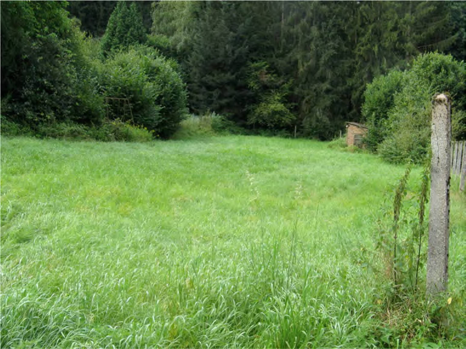 saarland 0002K0021/2024 Eckstraße 11, 66424 Homburg, Am Collinger Berg , Am Roßberg - siehe Beschreibung 6
