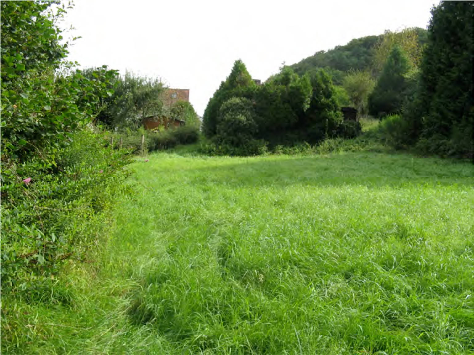 Zweifamilienhaus, Gartengrundstück,Forstwirtschaftliche Nutzung in Eckstraße 11, 66424 Homburg, Am Collinger Berg , Am Roßberg - siehe Beschreibung - Bild 5