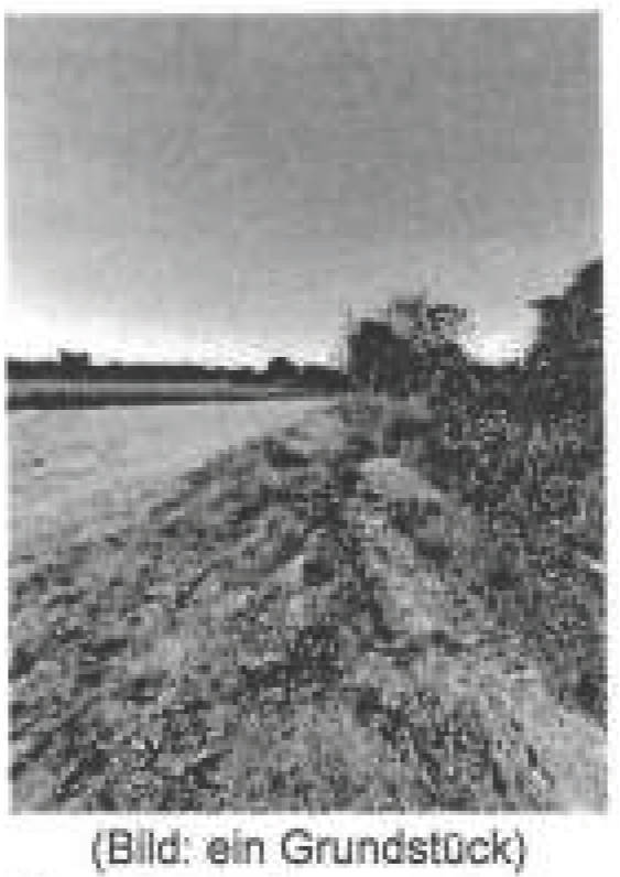 unbebautes Grundstück in Weiherlänge / Hofkreuzlängt, 66773 Schwalbach , Griesborn - Bild 2