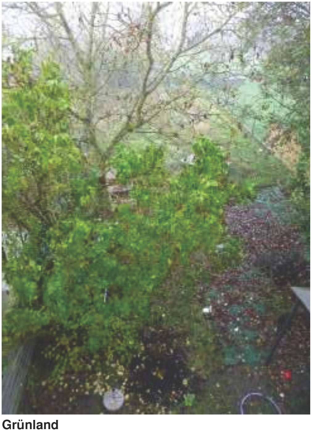 saarland 0004 K 0026/2024 Jakobusstraße  3, 66798 Wallerfangen , Kerlingen 14