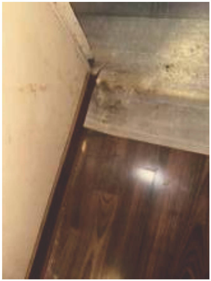 Einfamilienhaus, Sonstiges in Sermlinger Straße  5, 66798 Wallerfangen , Kerlingen - Bild 2