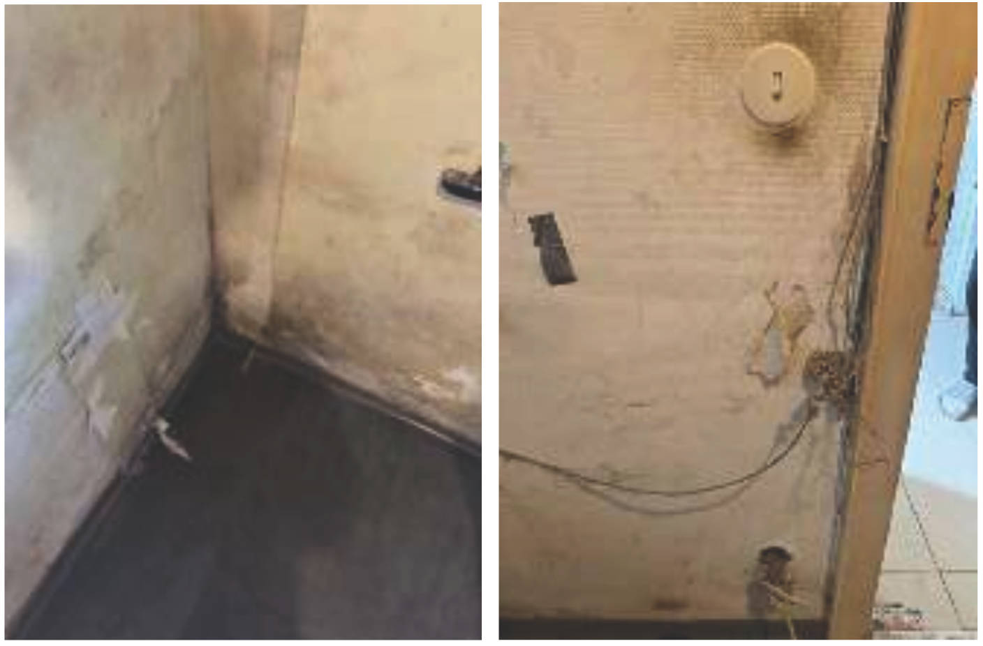 Einfamilienhaus, Sonstiges in Sermlinger Straße  5, 66798 Wallerfangen , Kerlingen - Bild 3