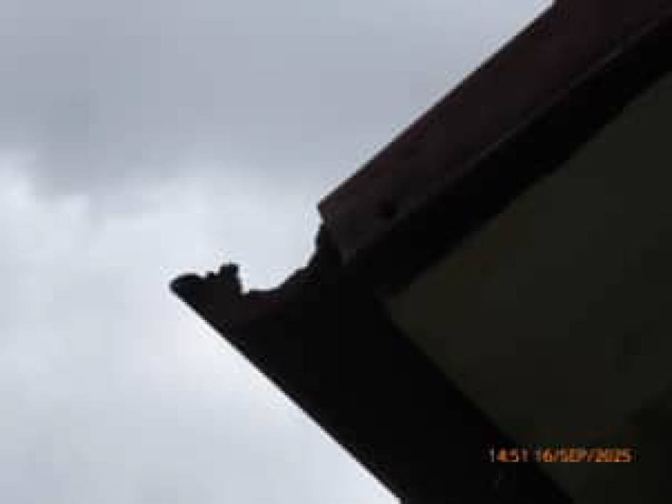 saarland 0010 K 0007/2025 Am Scheifberg 32, 66687 Wadern, Büschfeld 7