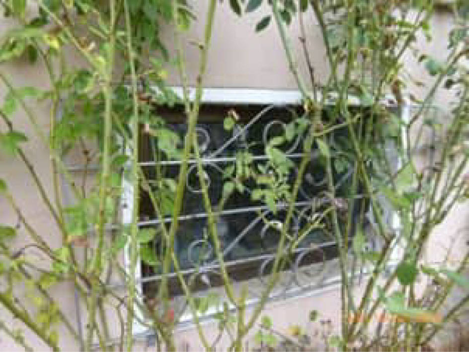 Einfamilienhaus, Garage in Am Scheifberg 32, 66687 Wadern, Büschfeld - Bild 4