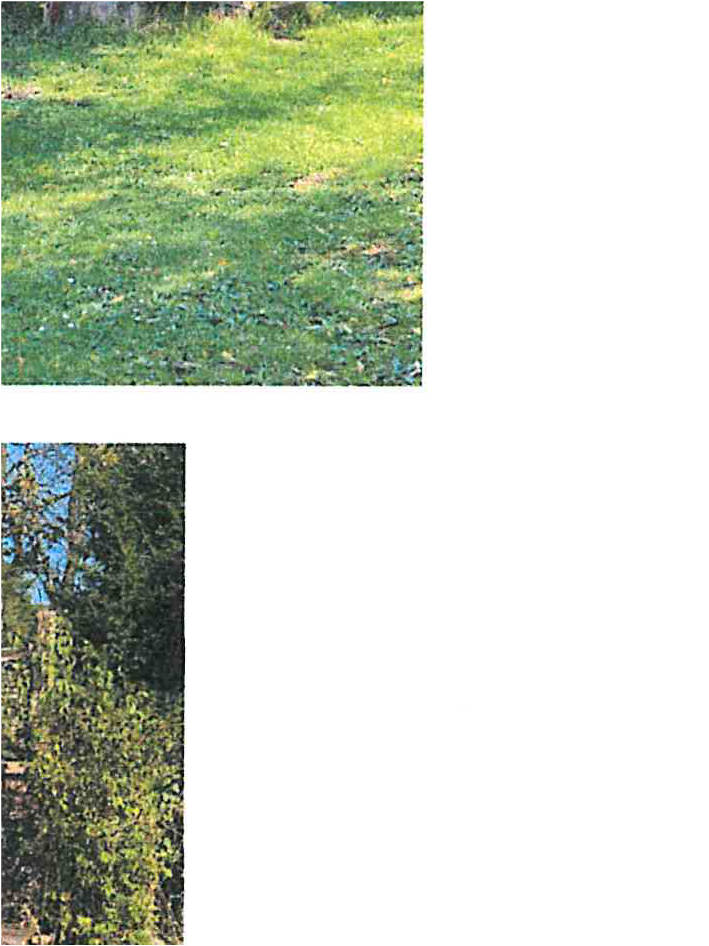 saarland 0011 K 0022/2024 Haustadter-Tal-Str. 103, 66701 Beckingen, Haustadt 6