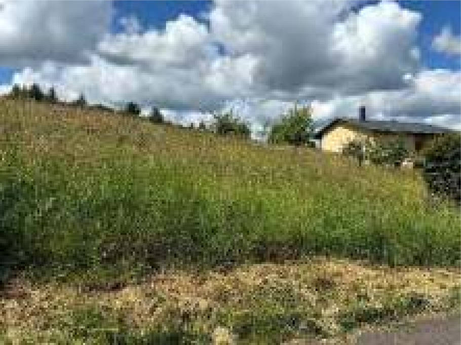 saarland 0018K0002/2024 Im Mauergarten 11, 66625 Nohfelden, Eckelhausen 14