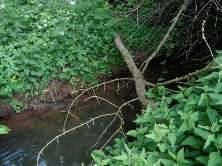 saarland 11 K 21/24 Waldstraße 97, 66701 Beckingen 35