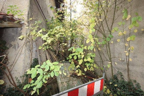 saarland 4 K 5/25 Pfarrgasse 6, 66822 Lebach 13