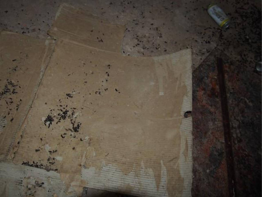 saarland 48 K 113/21 Kaiserstraße 3, 66111 Saarbrücken 6