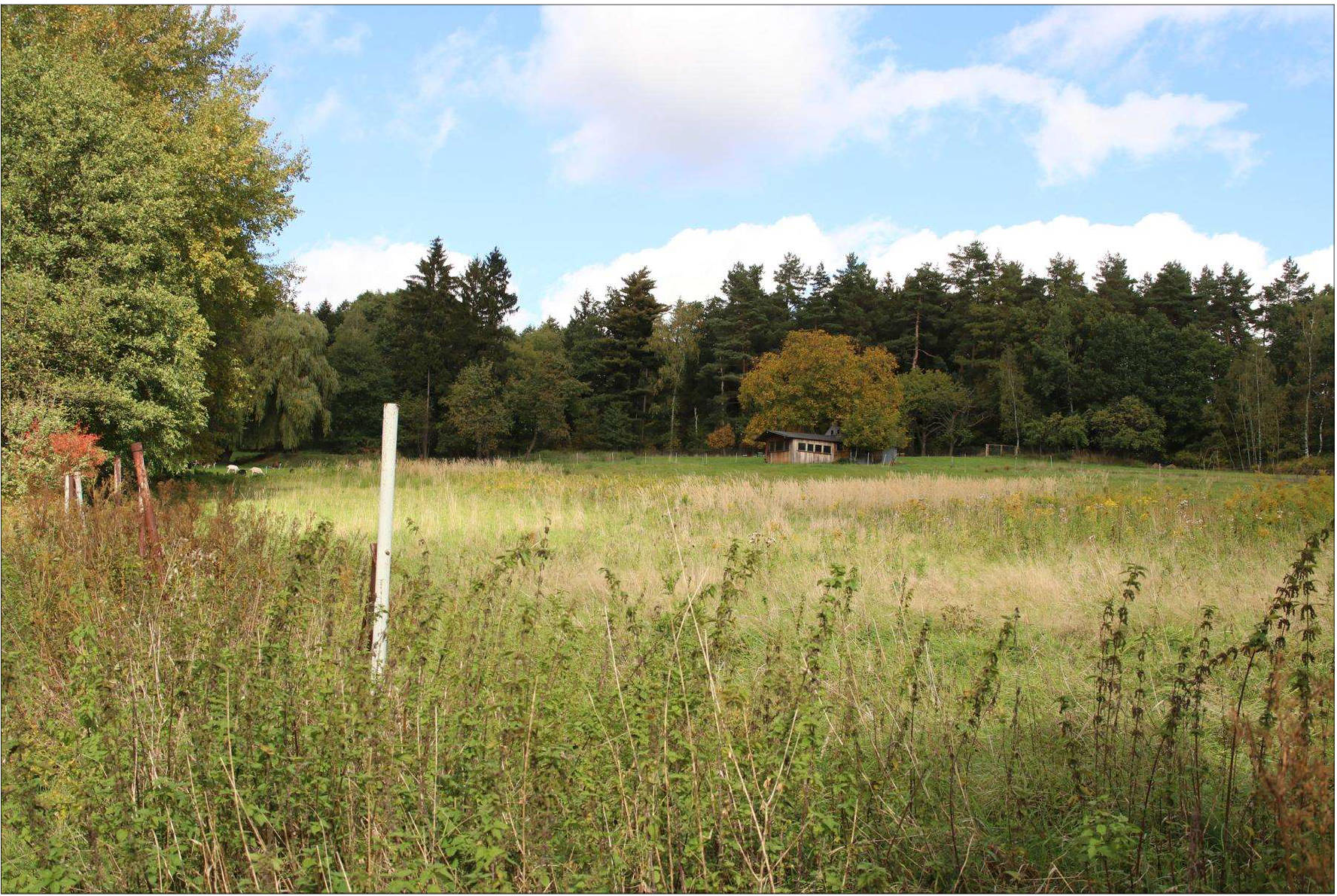 sachsen 0001K0069-2022 Spitzkunnersdorfer Straße 27, 02779 Großschönau