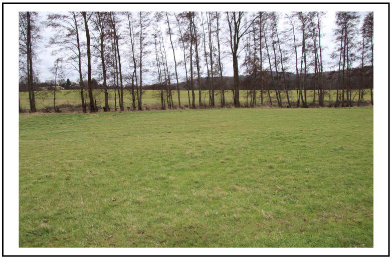 unbebautes Grundstück in ., 02692 Doberschau-Gaußig, Gnaschwitz - Bild 2