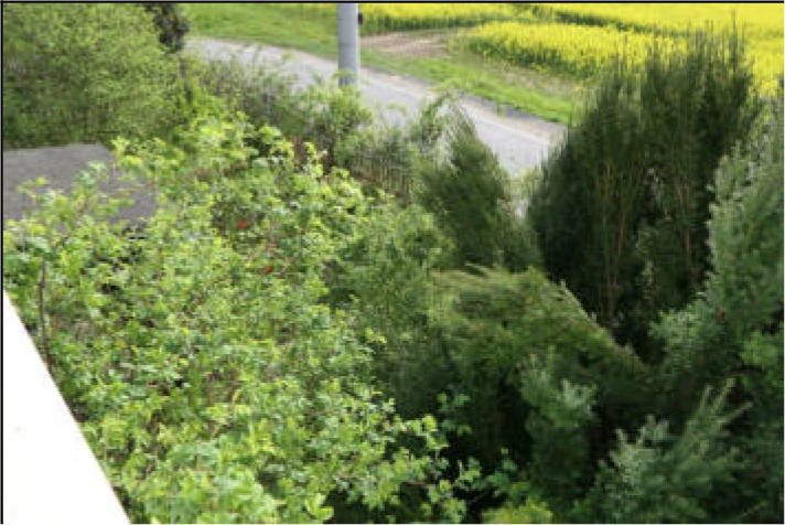 sachsen 0002K0001-2024 Vierhäuser 8, 02788 Zittau, Dittelsdorf