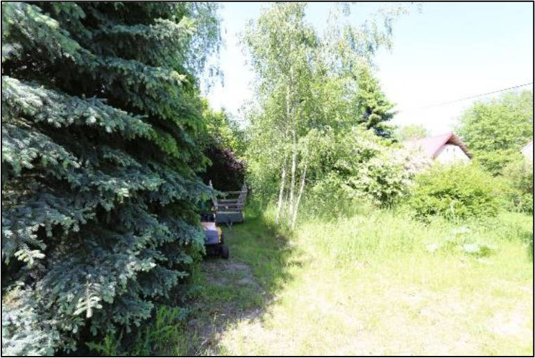 sachsen 0002K0029-2023 ohne Straßenbezeichnung, 02894 Vierkichen, Arnsdorf