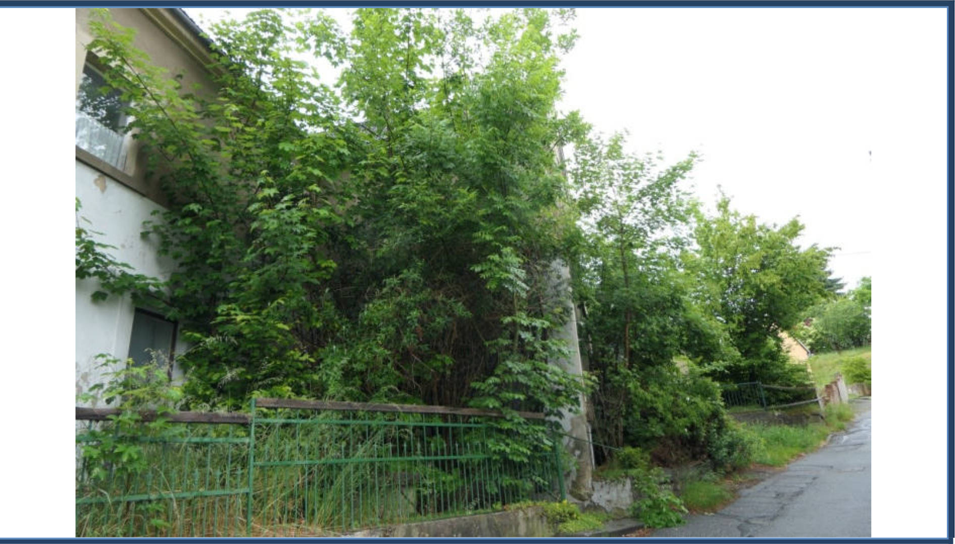 sachsen 0003 K 0033/2024 Pulsnitztalstraße  52, 01896 Pulsnitz, Oberlichtenau 15