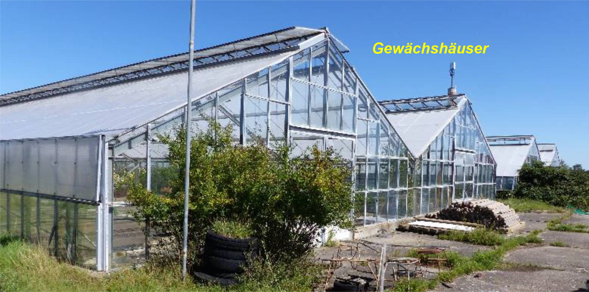 Wohn-/Geschäftshaus in Helmut-Bräutigam-Straße 52d, 08451 Crimmitschau - Bild 3