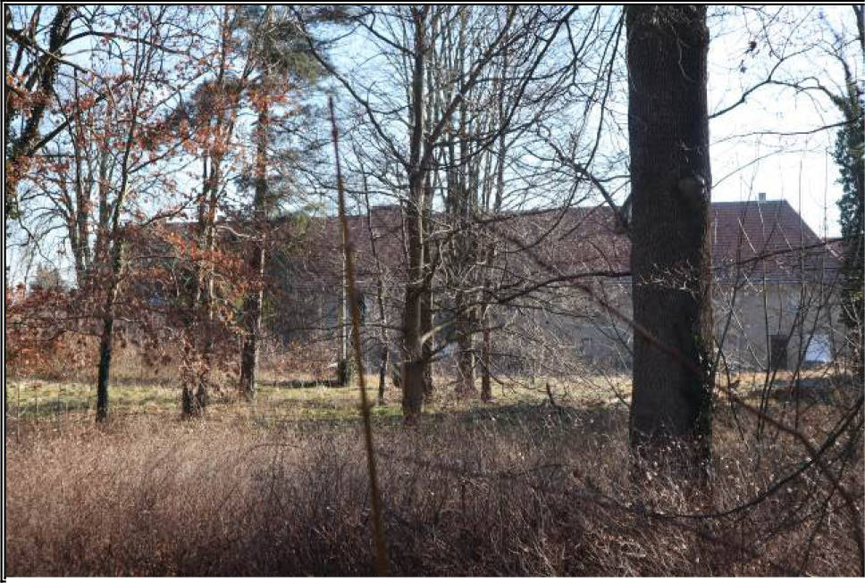 Sonstiges in Lomnitzer Hauptstraße  39, 01455 Wacha, OT Lomnitz - Bild 2