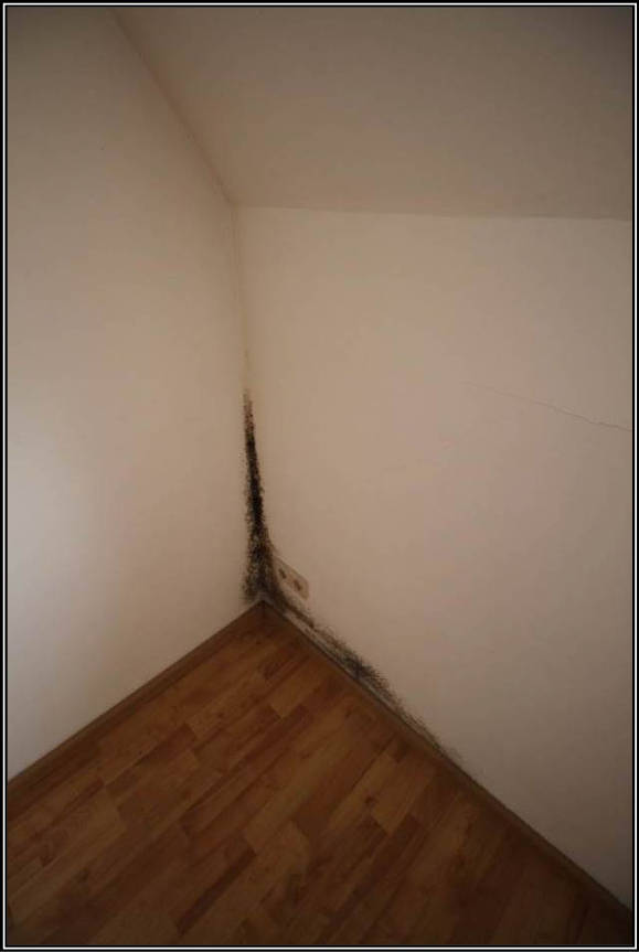 sachsen 0003 K 0076/2023 Ludwigstraße 4, 02763 Zittau 7