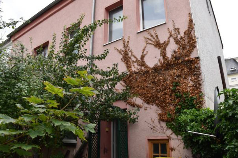 sachsen 0003 K 0077/2024 Marienstraße 11, 08412 Werdau 5