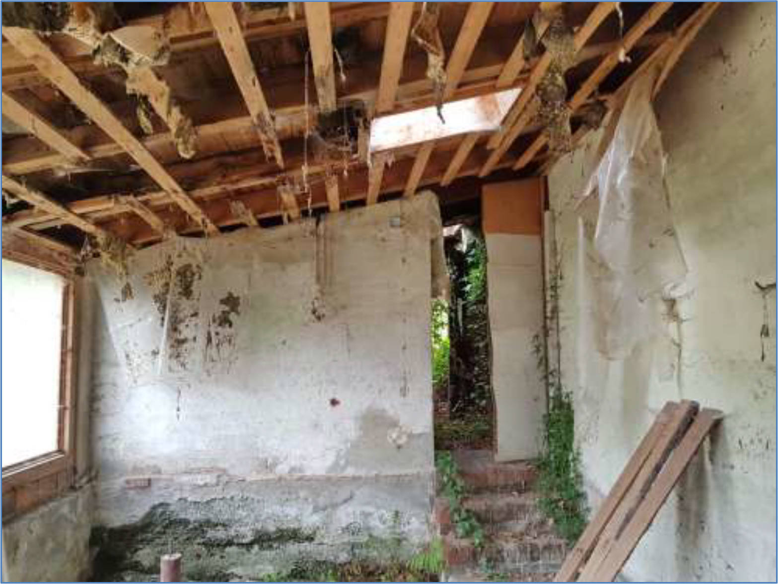 Grundstück mit ehem. Gärtnerei, Landwirtschaftsfläche in keine Angaben, 07985 Elsterberg - Bild 3