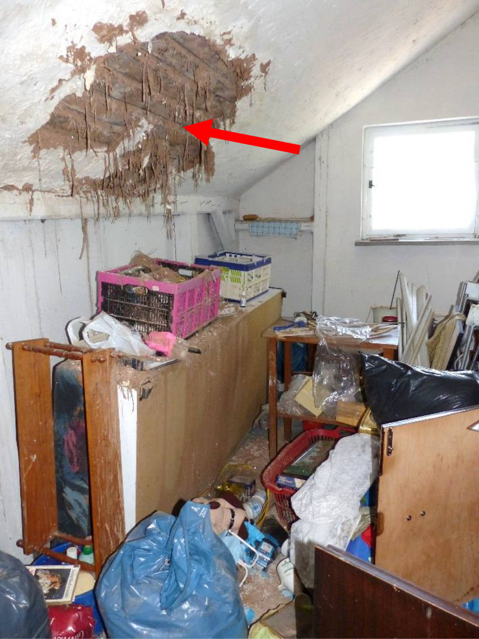 Einfamilienhaus in Dammstraße 13, 08451 Crimmitschau, OT Leitelshain - Bild 4