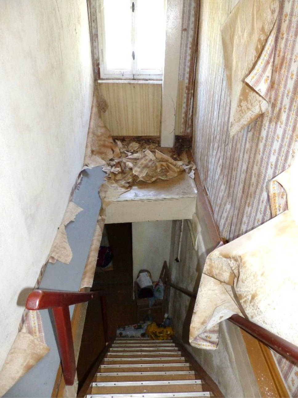 Einfamilienhaus in Dammstraße 13, 08451 Crimmitschau, OT Leitelshain - Bild 5