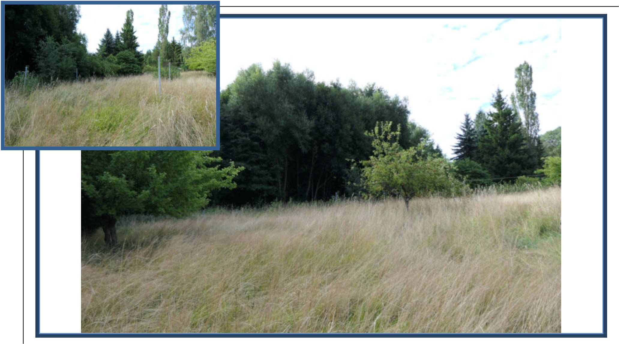 sachsen 0004K0033-2023 Hetzwalder Ring 39, 02794 Leutersdorf, Hetzwalde 10