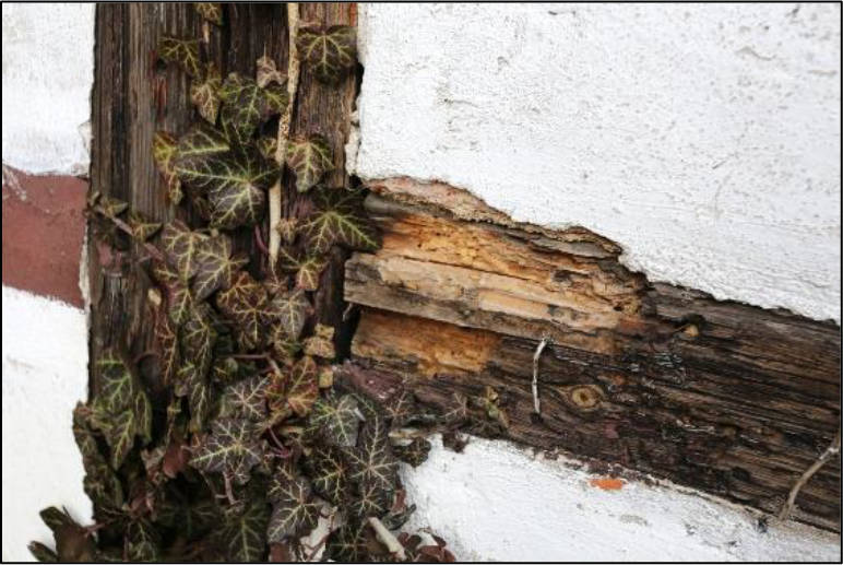 sachsen 0004 K 0077/2024 Löbauer Straße  14, 02708 Löbau, Kittlitz 11