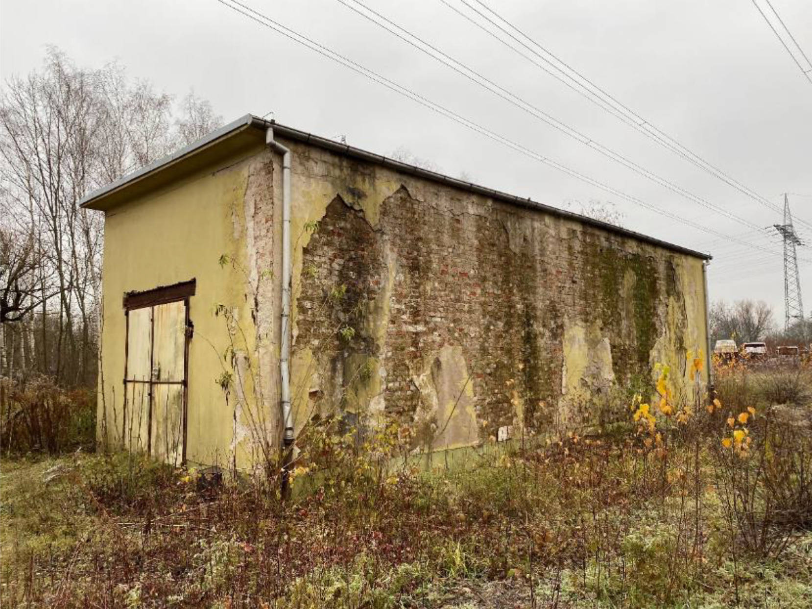 sachsen 0011K0085-2021 Schubertstraße, 08058 Zwickau 9